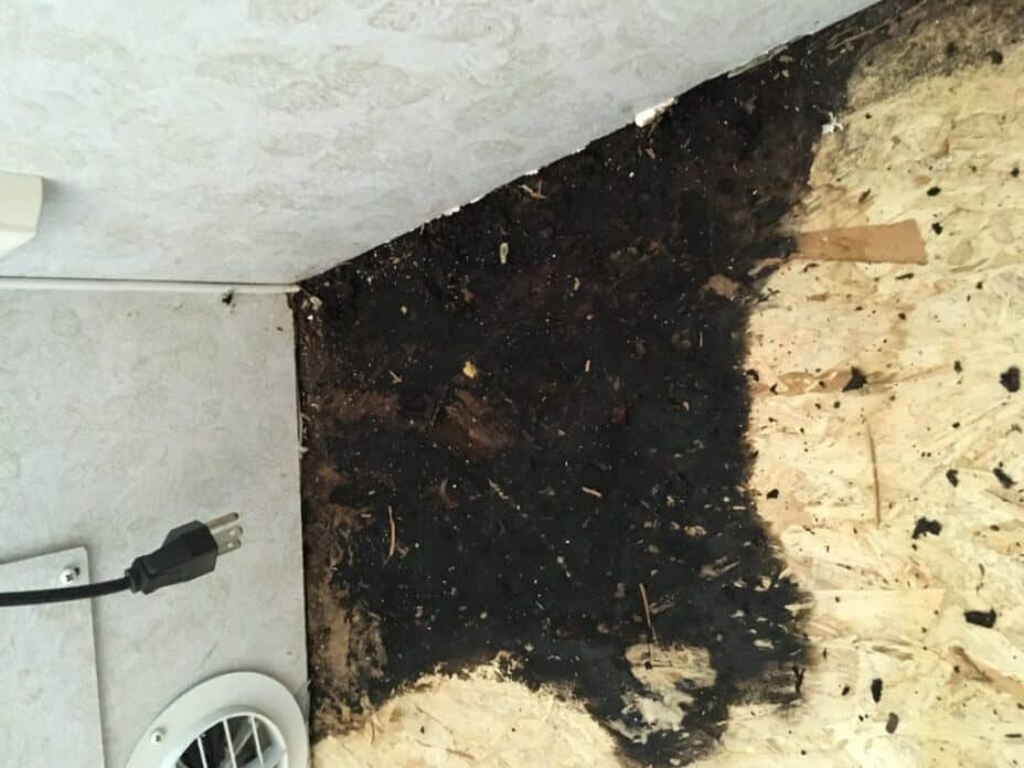 RV Indoor Air Quality, Part 4: Preventing Mold and Mildew in the First Place!