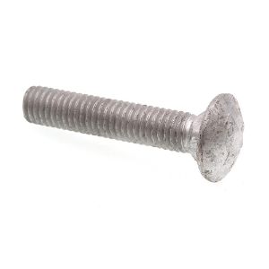 Example of a galvanized carriage bolt