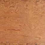 Texture of CDX plywood panel