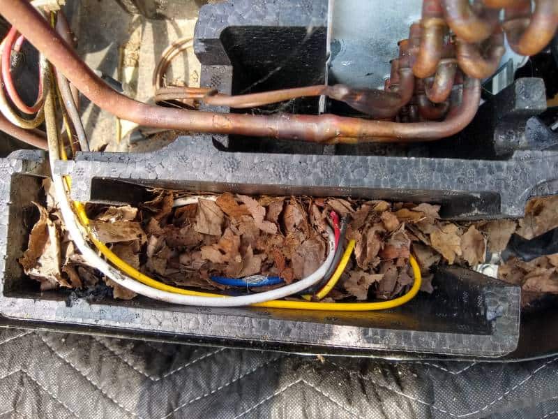 Mouse nest in RV air conditioner wiring!